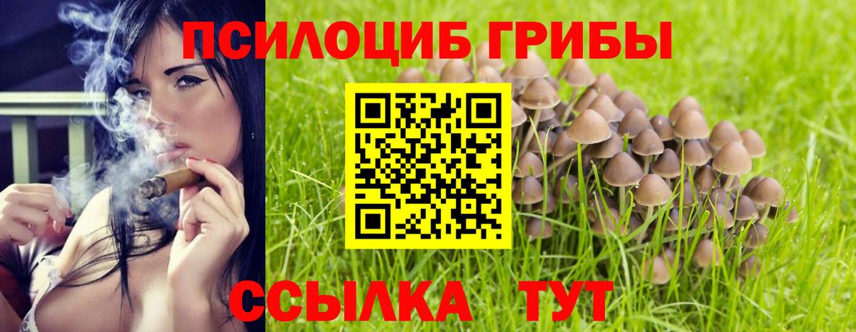 Псилоцибиновые грибы ЛСД  Вход с VPN  купить   Людиново 